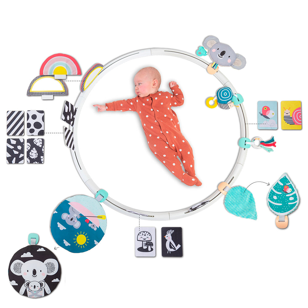 Taf Toys All Around Me Activity Hoop