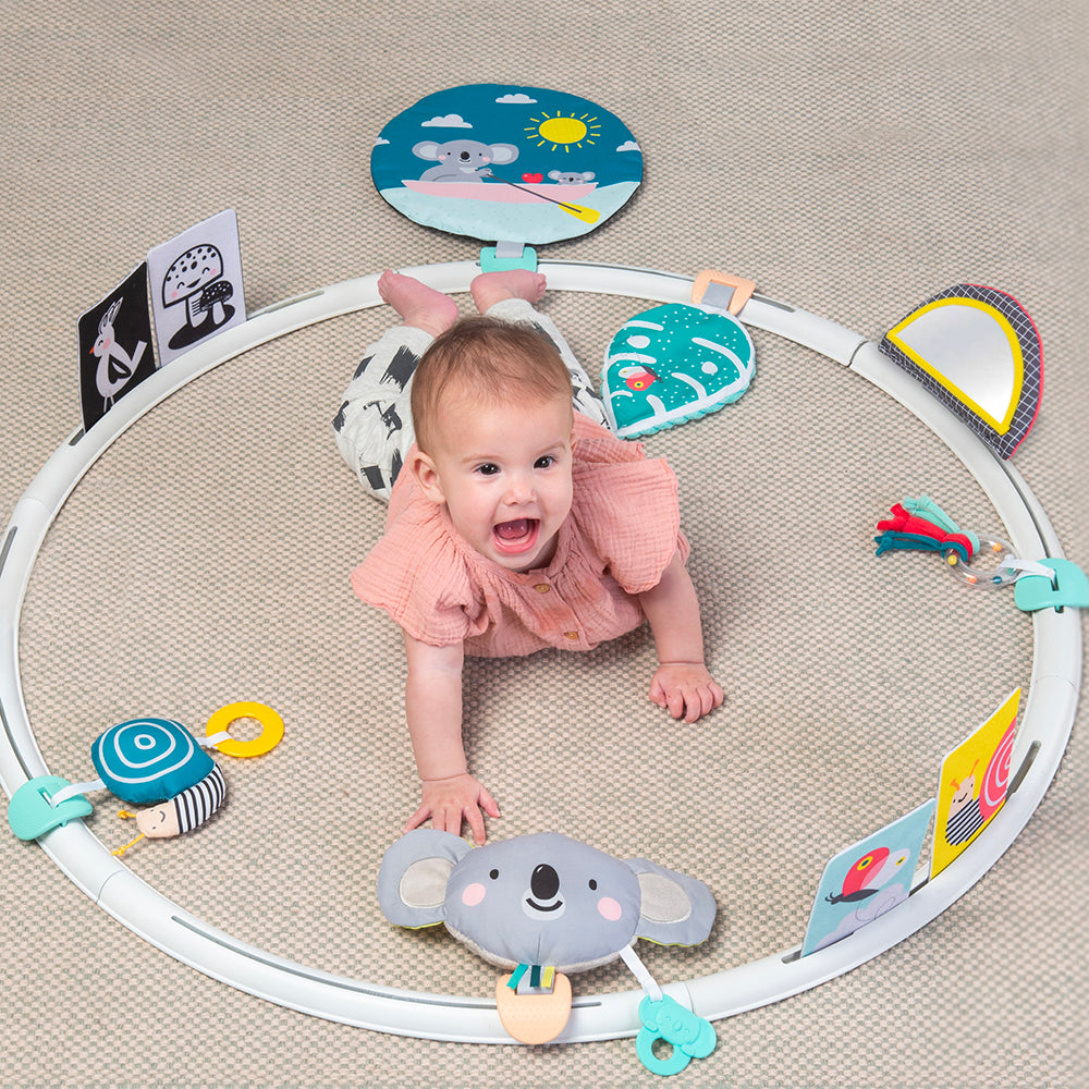 Taf Toys All Around Me Activity Hoop