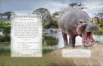The Little Book of Safari Animal Sounds
