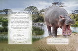 The Little Book of Safari Animal Sounds