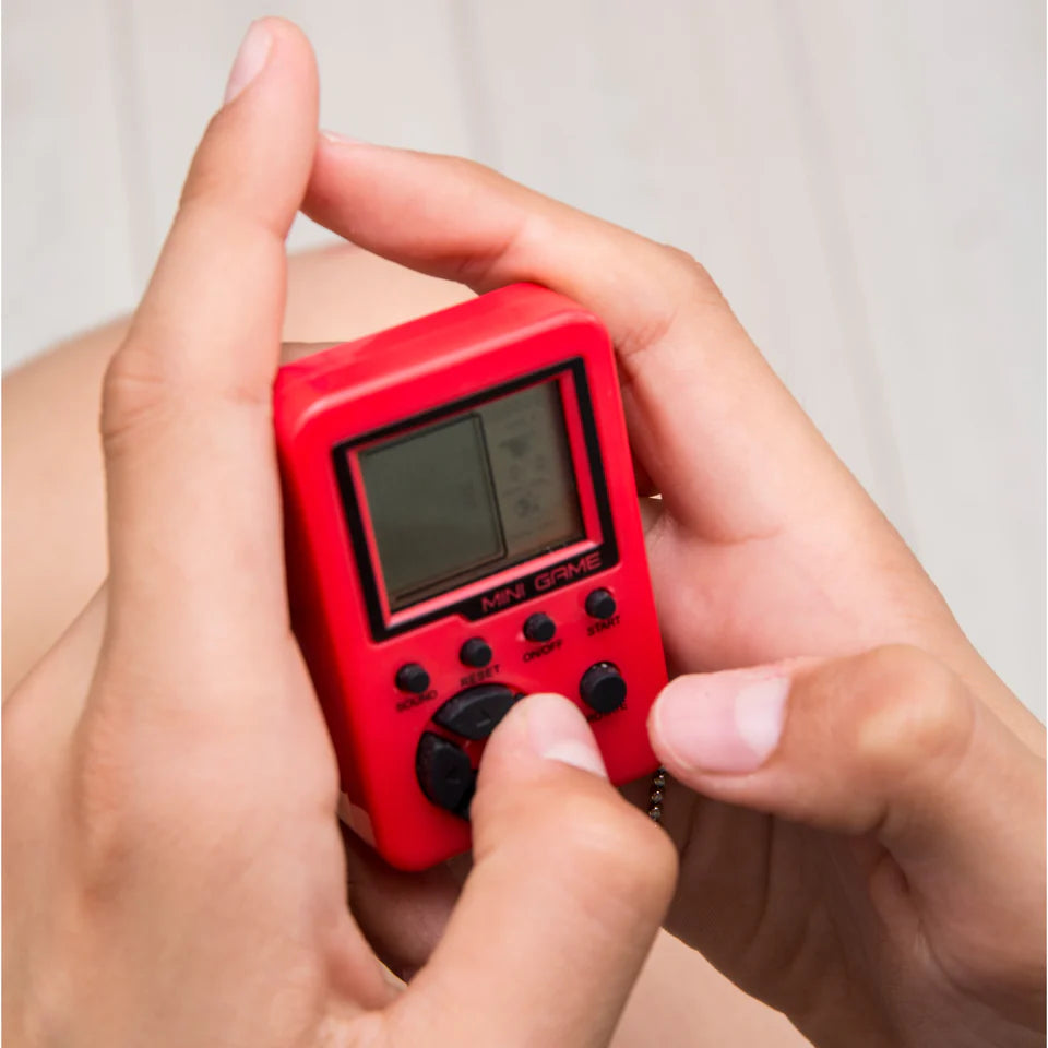 Pocket Arcade Game