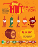 Jelly Belly BeanBoozled Fiery Five Jelly Beans Bag