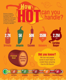 Jelly Belly BeanBoozled Fiery Five Jelly Beans Bag