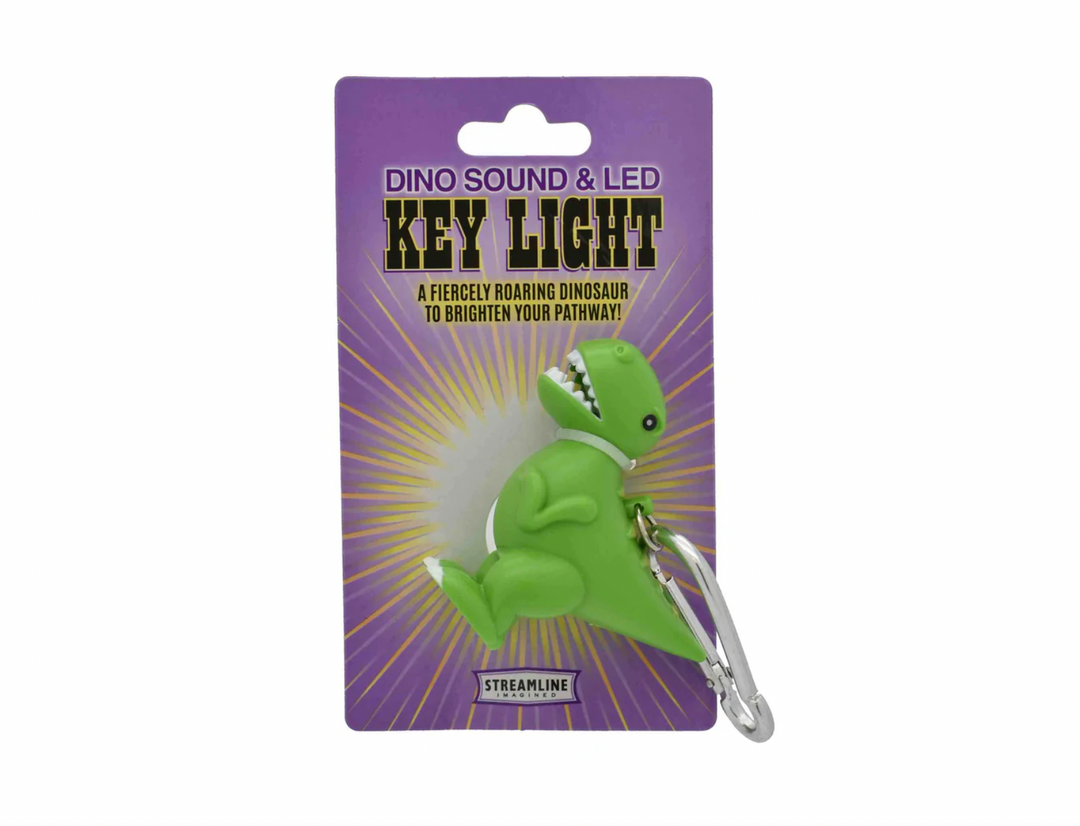 Dinosaur Sound & LED Key Light