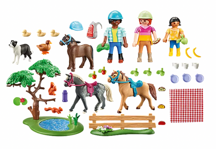 Playmobil Country Picnic Adventure with Horses