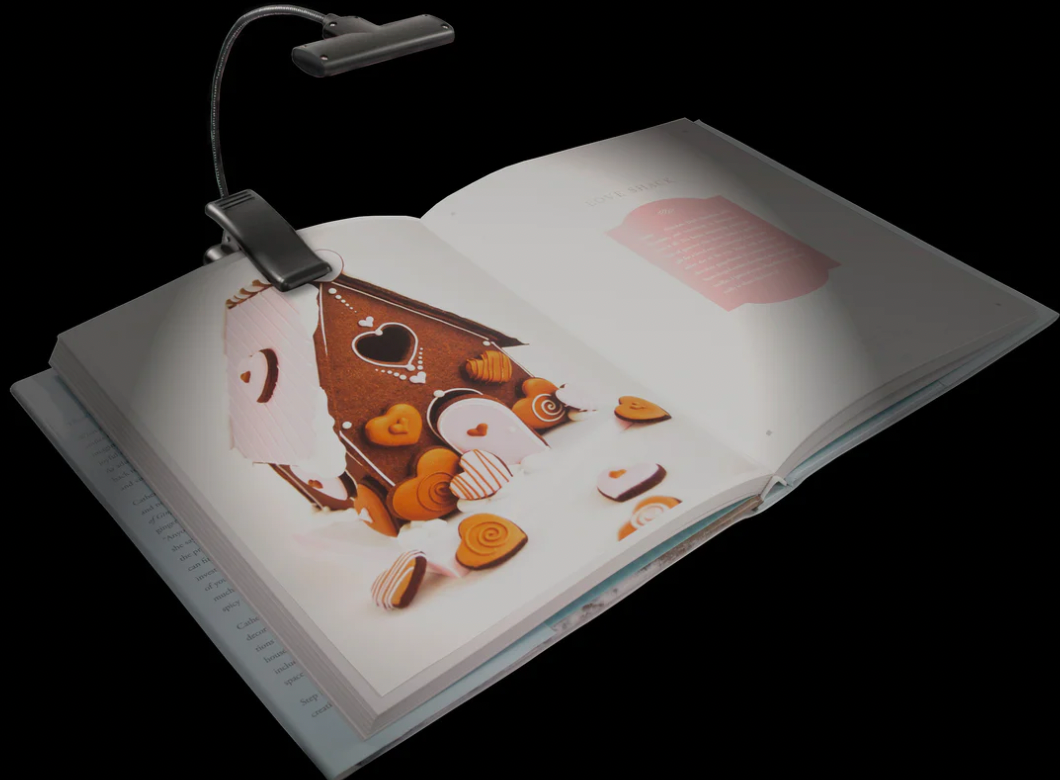 Moonbeam Reading Light
