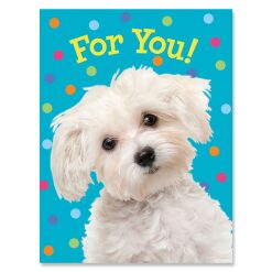 White Doggie Enclosure Card