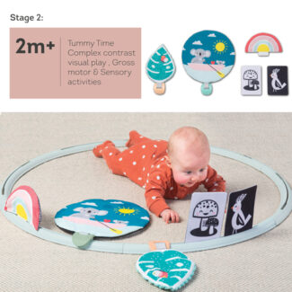 Taf Toys All Around Me Activity Hoop