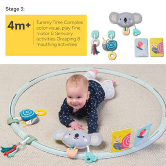 Taf Toys All Around Me Activity Hoop