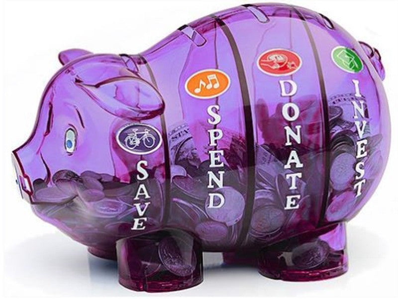 Money Savvy Pig Bank
