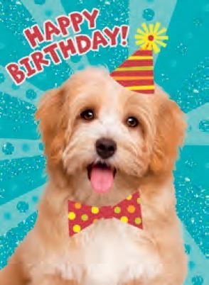 Happy Birthday Dog Birthday Card