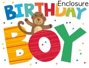 Birthday Boy Enclosure Card